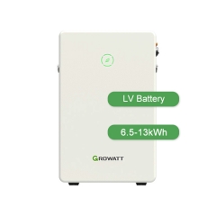pin lithium ion
